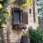 Il Bosco