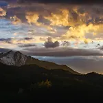 Il Bosco * 로카포르테 몬도비