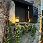 Il Bosco *