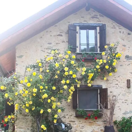Il Bosco Chalet Roccaforte Mondovì