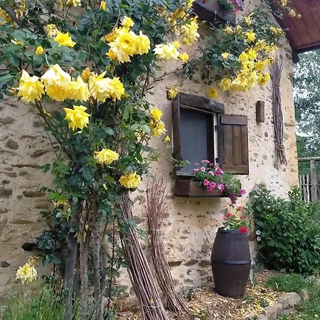 Il Bosco Roccaforte Mondovì
