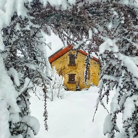 Il Bosco Chalet
