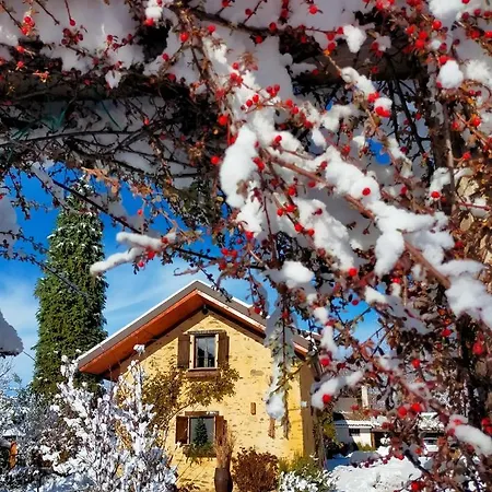 Chalet Il Bosco Roccaforte Mondovì
