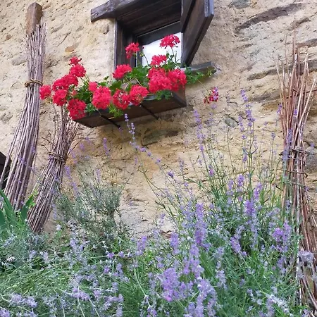 Il Bosco * Roccaforte Mondovì