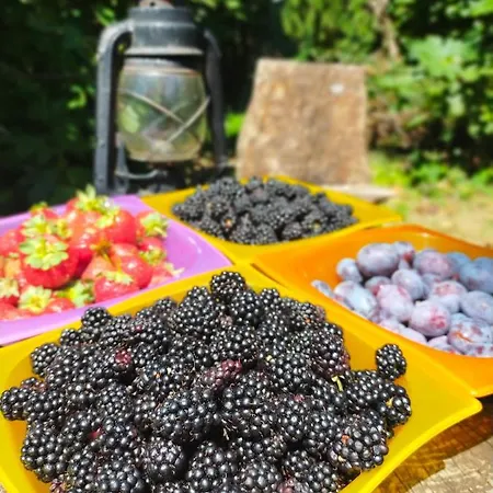 Chalet Il Bosco Roccaforte Mondovì