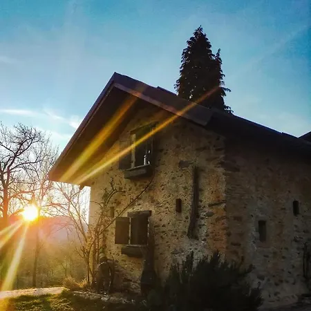 Chalet Il Bosco Roccaforte Mondovì