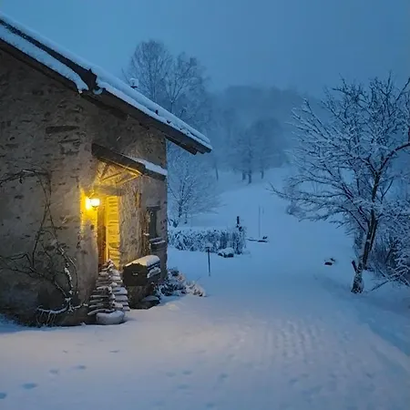 Il Bosco *