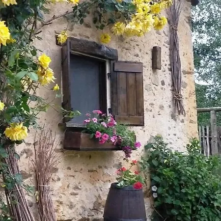Il Bosco