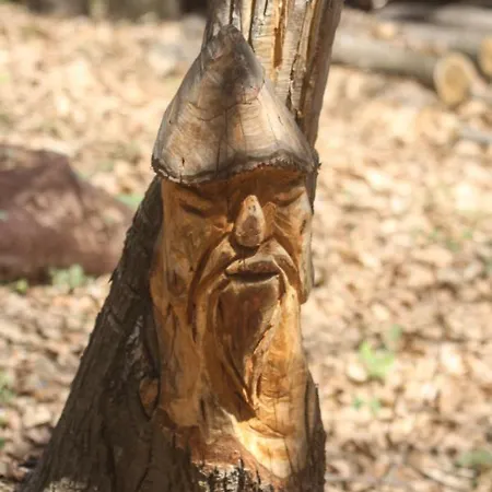 Il Bosco Alpstuga Roccaforte Mondovì