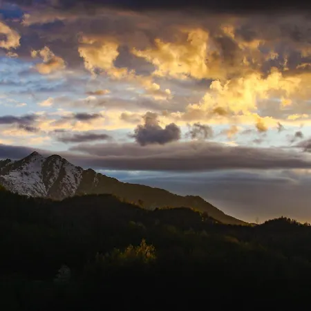 Il Bosco * Roccaforte Mondovì