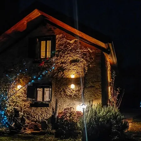 Il Bosco