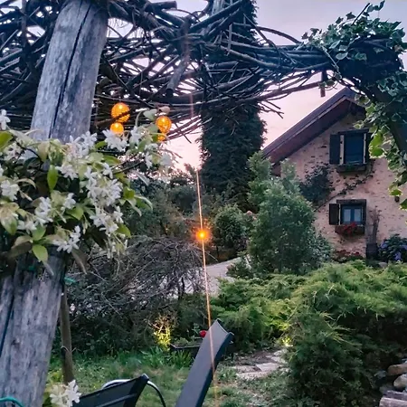 Il Bosco