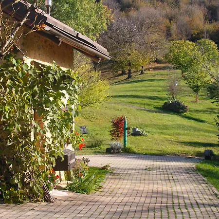 Il Bosco Chalet Roccaforte Mondovì
