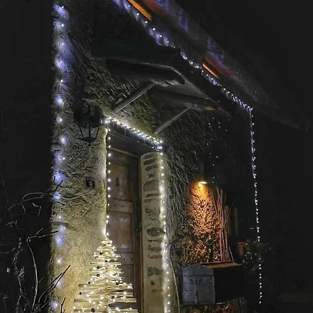 Il Bosco