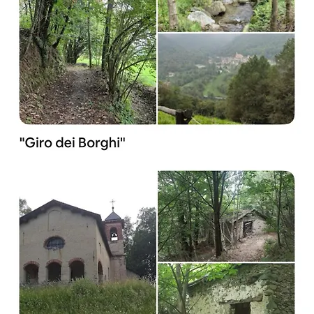 Il Bosco * Roccaforte Mondovì