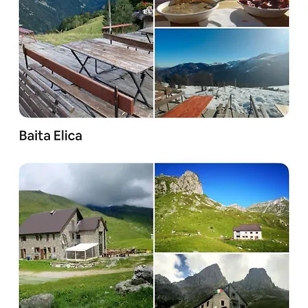 Il Bosco