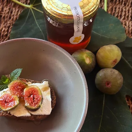 Il Bosco Chalet Roccaforte Mondovì