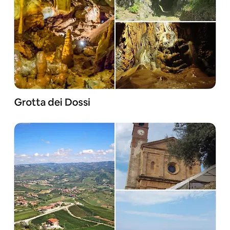 Il Bosco
