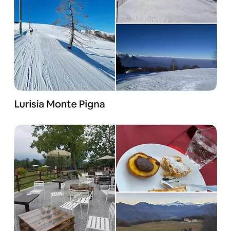 Il Bosco
