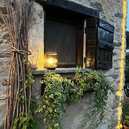 Il Bosco *