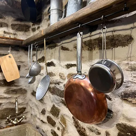 Il Bosco *