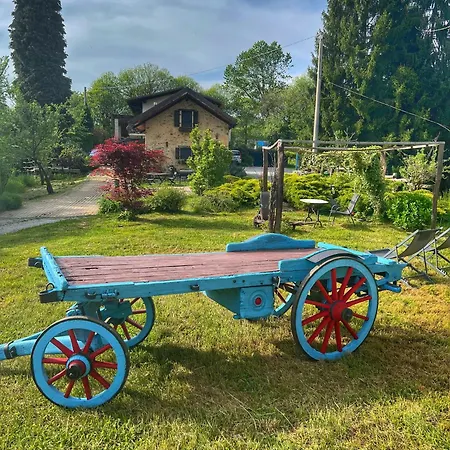 Il Bosco *