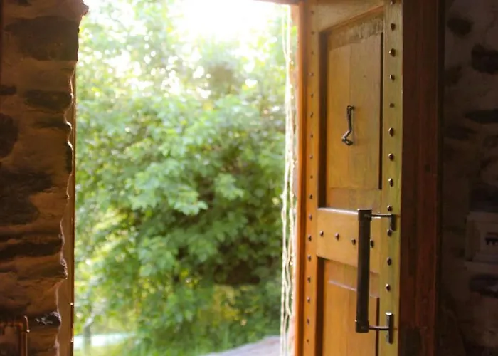 Il Bosco * Roccaforte Mondovì