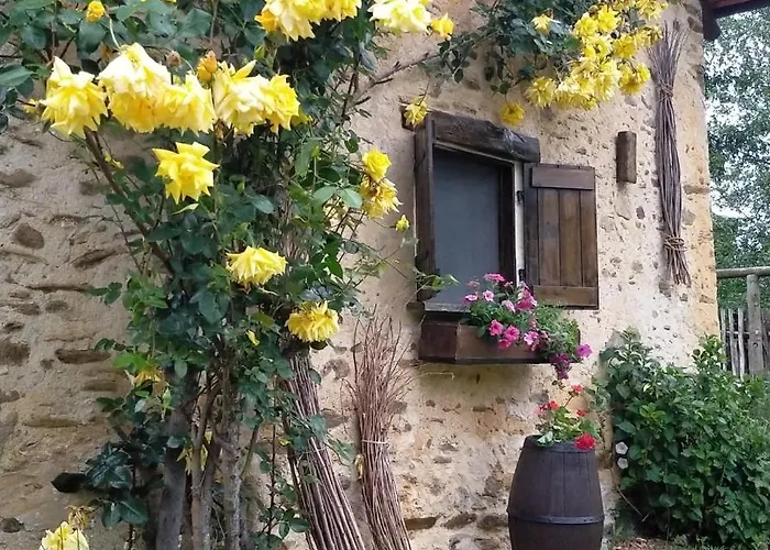 Il Bosco Roccaforte Mondovì
