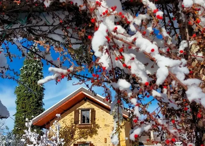 Horská chata Il Bosco Roccaforte Mondovì