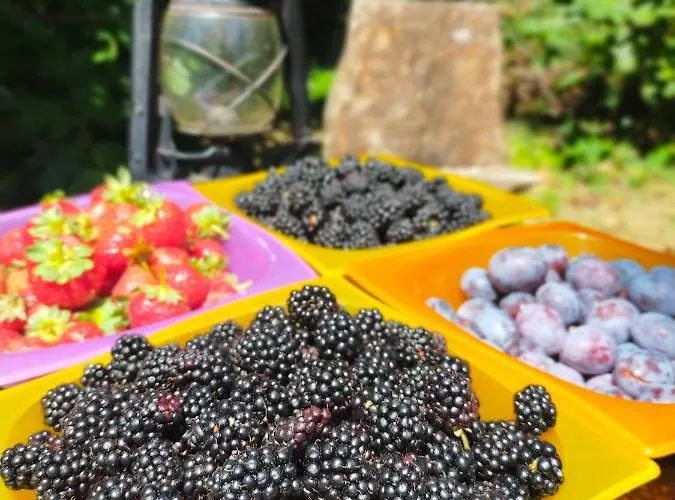 Horská chata Il Bosco Roccaforte Mondovì