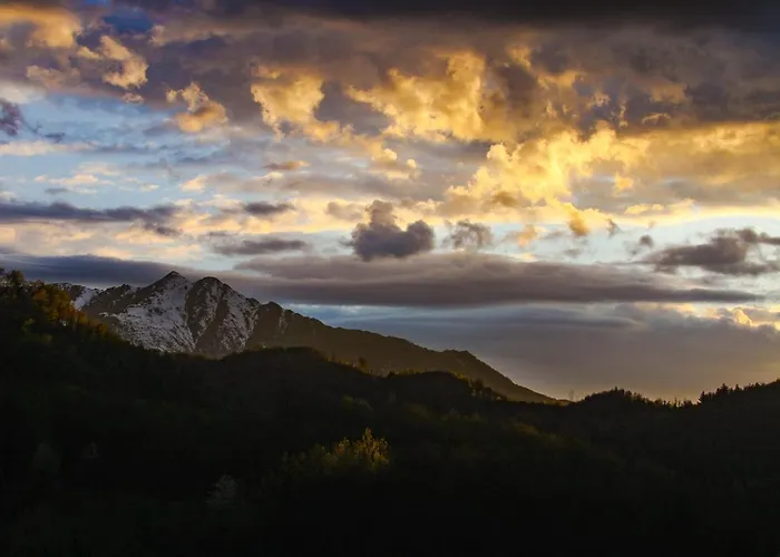 Il Bosco * Roccaforte Mondovì