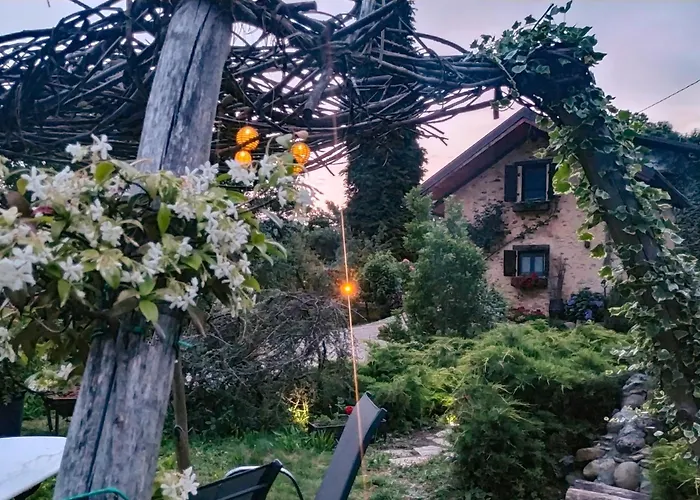 Il Bosco