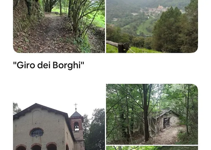 Il Bosco * Roccaforte Mondovì